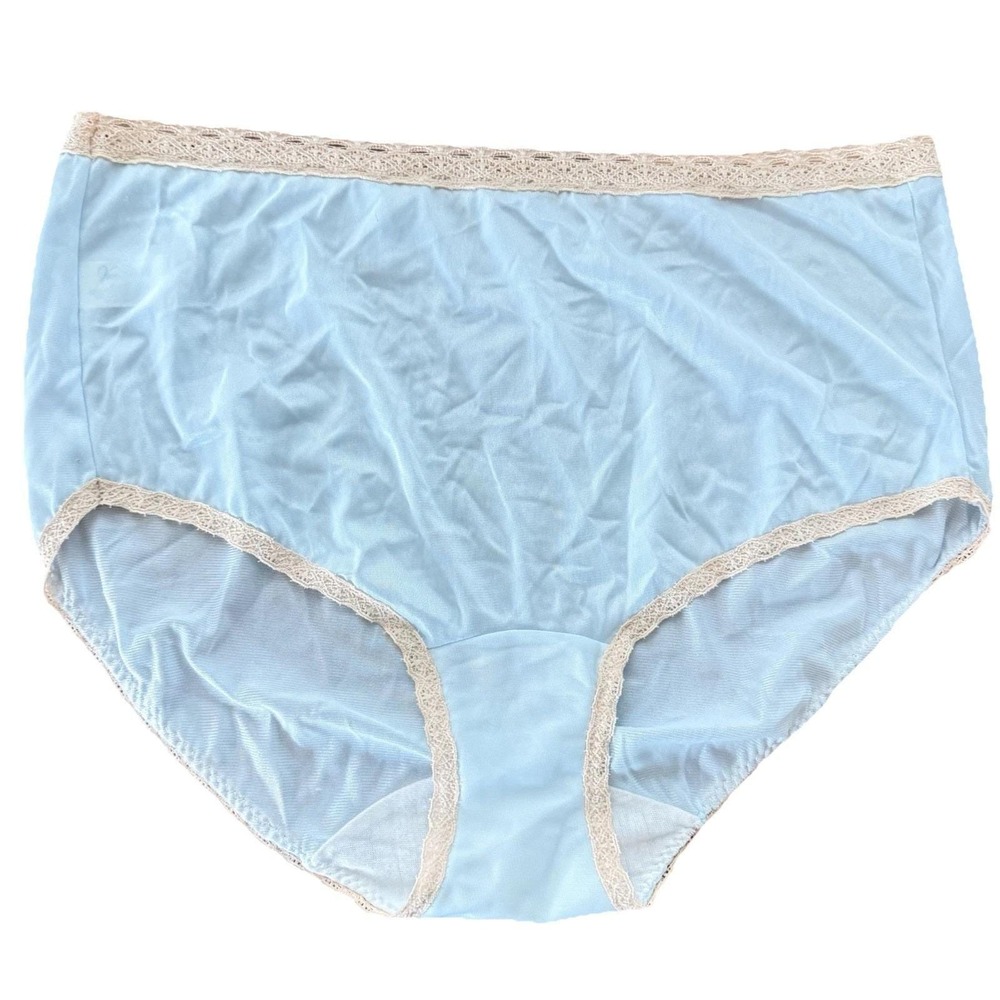Vintage Van Raalte Granny Panties Size 6 Blue Nylon Lace Trim Full Brief Sheer